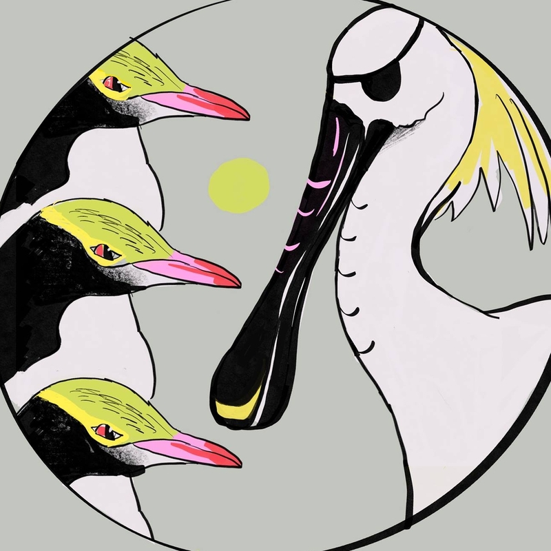 Cap'n Spoonbill & The Hoiho